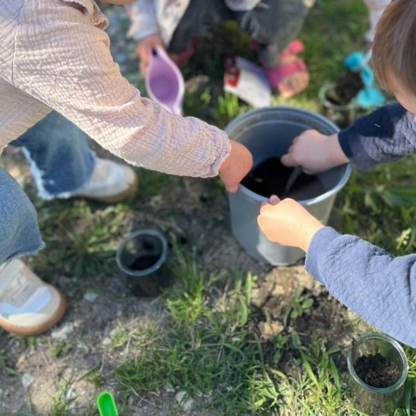 Découverte et environnement - Projet pédagogique - Assistante maternelle Caveirac La Vaunage